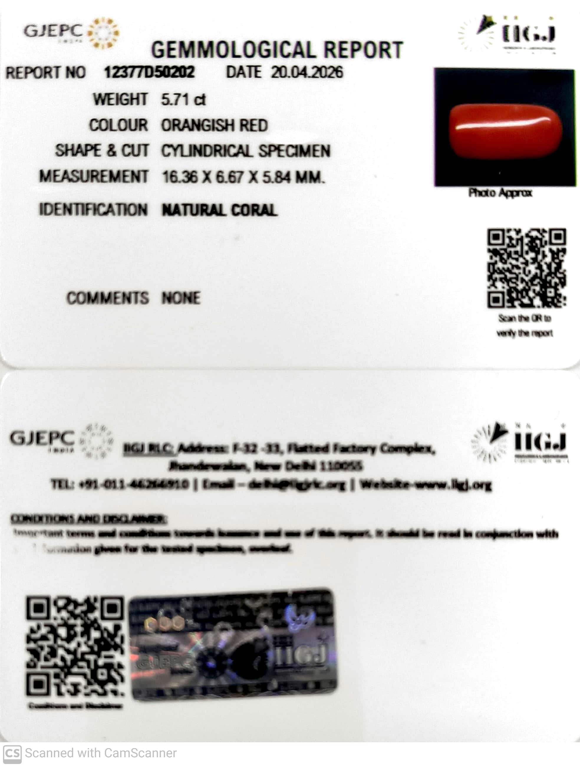 5.71/CT Natural Red Coral With Govt. Lab Certificate-12377D50202