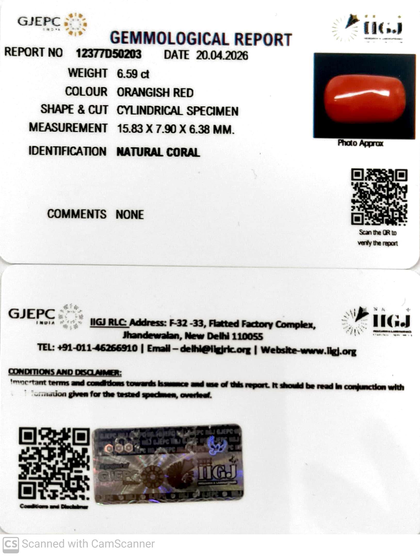 6.59/CT Natural Red Coral With Govt. Lab Certificate-12377D50203