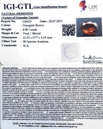 Load image into Gallery viewer, 4.96/CT Natural Govt. Lab Certified Ceylonese Gomed-(1221)