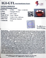 Load image into Gallery viewer, 4.91/CT Natural Govt. Lab Certified Ceylonese Gomed-(1221)