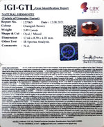 Load image into Gallery viewer, 3.89/CT Natural Govt. Lab Certified Ceylonese Gomed-(1221)