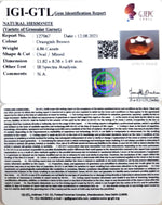 Load image into Gallery viewer, 4.86/CT Natural Govt. Lab Certified Ceylonese Gomed-(1221)