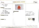 Load image into Gallery viewer, 20.09/CT Natural Triangular Red Coral-3100