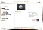Load image into Gallery viewer, 12.35/CT South Sea Pearl with Govt. Lab Certificate-1550