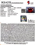 Load image into Gallery viewer, 3.68/CT Natural Govt. Lab Certified Ceylonese Gomed-(1221)