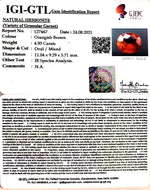 Load image into Gallery viewer, 4.93/CT Natural Govt. Lab Certified Ceylonese Gomed-(1221)