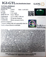 Load image into Gallery viewer, 2.74/CT Natural Panna Stone with Govt. Lab Certified (3441)
