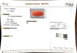 Load image into Gallery viewer, 8.82/Carat Natural Japanese Red Coral-7100