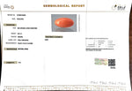 Load image into Gallery viewer, 8.61/Carat Natural Japanese Red Coral-7100