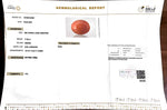 Load image into Gallery viewer, 17.92/Carat Natural Japanese Red Coral-7100