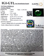Load image into Gallery viewer, 3.01/CT Natural Panna Stone with Govt. Lab Certificate (6771)