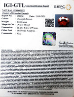 Load image into Gallery viewer, 4.84/CT Natural Govt. Lab Certified Ceylonese Gomed-(1221)