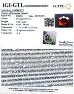 Load image into Gallery viewer, 5.25/CT Natural Govt. Lab Certified Ceylonese Gomed-(1221)