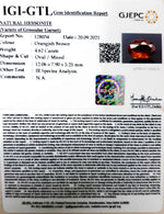 Load image into Gallery viewer, 4.62/CT Natural Govt. Lab Certified Ceylonese Gomed-(1221)