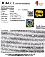 Load image into Gallery viewer, 8.66/CT Natural Ceylonese Pukhraj with Govt Lab Certificate-67710