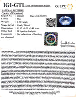 Load image into Gallery viewer, 4.91/CT Nature Neelam with Govt Lab Certificate-BLUSA9W