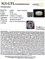 Load image into Gallery viewer, 15.75/CT Natural Fire Opal with Govt. Lab Certificate-4551