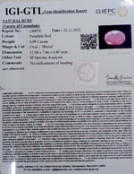Load image into Gallery viewer, 4.53 Ratti Natural New Burma Ruby with Govt. Lab Certificate (5661)