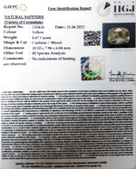 Load image into Gallery viewer, 4.67/CT Natural Ceylonese Pukhraj with Govt Lab Certificate-(YELSA9V)