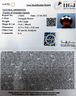 Load image into Gallery viewer, 4.89/CT Natural Govt. Lab Certified Ceylonese Gomed-(1221)