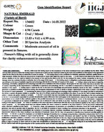 Load image into Gallery viewer, 4.94/CT Natural Panna Stone with Govt. Lab Certified-8991