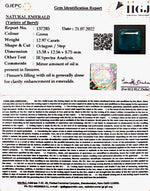 Load image into Gallery viewer, 12.97/CT Natural Panna Stone with Govt. Lab Certified-6771