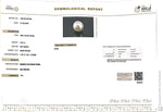 Load image into Gallery viewer, 3.55/CT Natural South Sea Pearl Beads With Lab Certificate (1550)