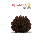Load image into Gallery viewer, 13 MUKHI NEPALI RUDRAKSHA
