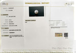 Load image into Gallery viewer, 5.78/CT Natural South Sea Pearl With Lab Certificate (1550)