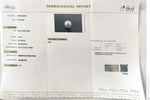 Load image into Gallery viewer, 4.53/CT Natural South Sea Pearl With Lab Certificate (1550)