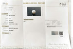 Load image into Gallery viewer, 7.68/CT Natural South Sea Pearl With Lab Certificate (1550)