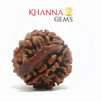 Load image into Gallery viewer, GANESH RUDRAKSHA