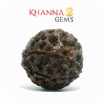 Load image into Gallery viewer, 7 MUKHI NEPALI RUDRAKSHA