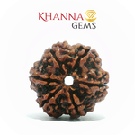 Load image into Gallery viewer, 6 MUKHI NEPALI RUDRAKSHA (BIG BEADS)