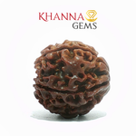Load image into Gallery viewer, 6 MUKHI NEPALI RUDRAKSHA