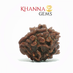 Load image into Gallery viewer, 3 MUKHI NEPALI RUDRAKSHA