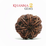 Load image into Gallery viewer, 7 MUKHI NEPALI RUDRAKSHA (PREMIUM)