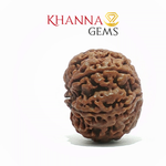 Load image into Gallery viewer, 7 MUKHI NEPALI RUDRAKSHA (PREMIUM)