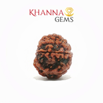 Load image into Gallery viewer, 10 MUKHI NEPALI RUDRAKSHA