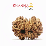Load image into Gallery viewer, 12 MUKHI NEPALI RUDRAKSHA