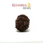 Load image into Gallery viewer, GAURI SHANKAR RUDRAKSHA