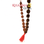 Load image into Gallery viewer, THREE MUKHI RUDRAKSHA MALA