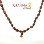 Load image into Gallery viewer, TWO MUKHI RUDRAKSHA MALA