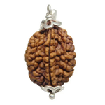 Load image into Gallery viewer, Two Mukhi Nepali Rudraksha with Silver (2530)