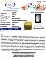 Load image into Gallery viewer, Keshi Pearl
