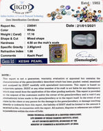 Load image into Gallery viewer, KESHI PEARL-230041-1650-17.10