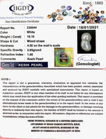 Load image into Gallery viewer, KESHI PEARL-230044-1650-18.10