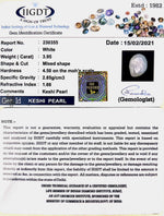 Load image into Gallery viewer, Keshi Pearl-1650