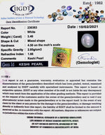 Load image into Gallery viewer, Keshi Pearl-1650