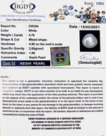 Load image into Gallery viewer, Keshi Pearl-1650